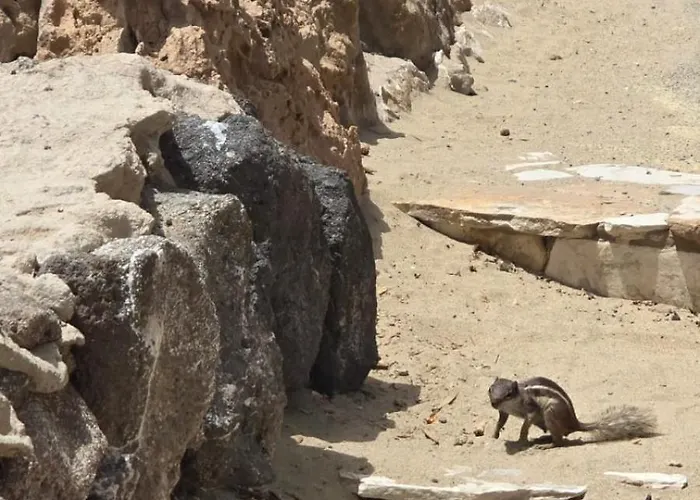 Blue Heaven * Corralejo